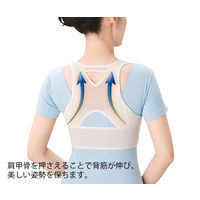 ハヤシ・ニット シャキッと姿勢補正ベルト 79~87 4806 M 1個 8-6603-01（直送品）