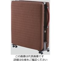 アズワン 折りたたみベッド 900×1900×340 RLV-80 1個 8-9914-01（直送品）