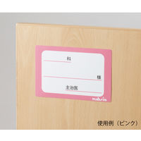 アズワン 貼ってはがせるベッドネーム (グリーン) PL-GN 1セット(5枚) 0-4551-12（直送品）