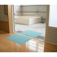 アズワン マット滑り止め「エントラシート」 8-2790-11 1個