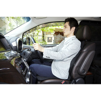 ピーエーエス　p!nto Driver（ピントドライバー）　クッション　1個　（直送品）