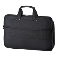 サンワサプライ 衝撃吸収PCケース(15.6型ワイド) BAG-P22BK 1個（直送品）