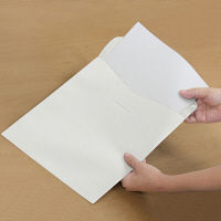 プラス SWPエンベロープタテ 118CH WH 88723 1枚（直送品）