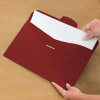 プラス SWPエンベロープヨコ 119CH RD 88732 1枚（直送品）