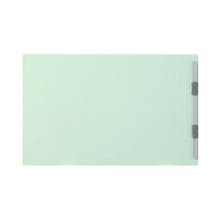 プラス フラットファイルA4E縦罫線タイプBL 98235 1冊（直送品）