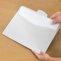 プラス SWPエンベロープヨコ 119CH WH 88733 1枚（直送品）