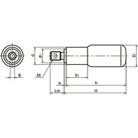 鍋屋バイテック(NBK) 回転グリップ GDPS-22-M10 1個（直送品）