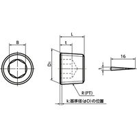 鍋屋バイテック(NBK) 配管用テーパスクリュープラグ（沈みプラグ） SFTS-1 1個（直送品）