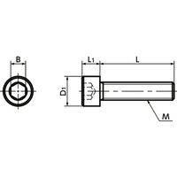 鍋屋バイテック(NBK) 六角穴付ボルト 六角穴付きボルト（SUS316L/表面硬化処理） SNSL-M4-16-PN 1個（直送品）