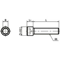 鍋屋バイテック(NBK) 六角穴付ボルト 六角穴付き小頭ボルト SNSS-M10-40-SD 1袋（10個入）（直送品）
