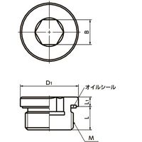 鍋屋バイテック(NBK) フランジ付き六角穴付きスクリュープラグ SPN-M10-L 1個（直送品）