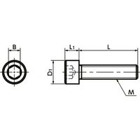 鍋屋バイテック(NBK) 六角穴付ボルト 樹脂ねじ（PVDF / 六角穴付きボルト） SPV-M5-20-C 1袋（20個入）（直送品）