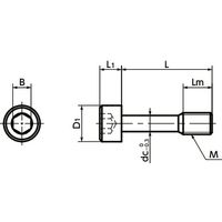鍋屋バイテック(NBK) 六角穴付ボルト 六角穴付き脱落防止ねじ SSC-M6-12 1個（直送品）