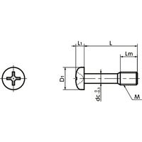 鍋屋バイテック(NBK) 十字穴付き脱落防止なべ小ねじ SSCPS-M6-16 1個（直送品）