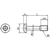 鍋屋バイテック(NBK) ねじ ヘクサロビュラ穴付き脱落防止ボタンボルト（ピンつき） SSC-SRBS-M4-12 1個（直送品）