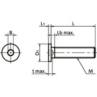 鍋屋バイテック(NBK) 六角穴付ボルト 六角穴付き極低頭ボルト SSH-M4-10 1袋（10個入）（直送品）