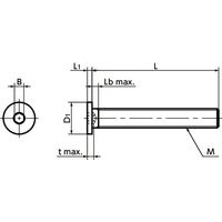 鍋屋バイテック(NBK) 六角穴付ボルト 六角穴付き極低頭ボルト（全ねじ） SSHS-M4-50-FT 1個（直送品）