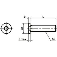 鍋屋バイテック(NBK) 六角穴付ボルト ヘクサロビュラ穴付き極低頭ボルト SSTS-M2-4 1袋（10個入）（直送品）