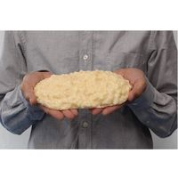 イワイサンプル 脂肪の塊(500g) SI-005 1セット(1個×2) 24-4514-00
