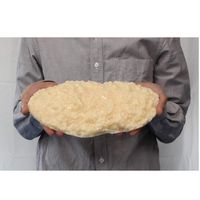 イワイサンプル 脂肪の塊(1kg) SI-010 1箱(2個入) 24-4514-01（直送品）