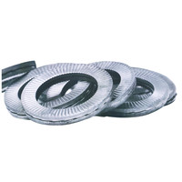 ノルトロック ワッシャー NL42 1セット(3個)（直送品）