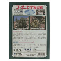 ショウワノート ジャポニカ学習帳 連絡帳 A5 JAー67 1冊