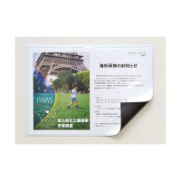 マグエックス　マグネットカードケースツヤ有A4　MCARD-A4G　1枚　（直送品）