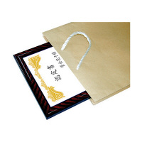 菅公工業　額縁手提袋　茶　B4　ベ585　1パック（10枚入）　（直送品）