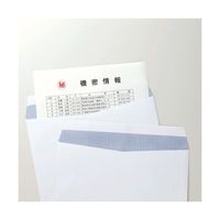 高春堂 内地紋付 ホワイト封筒 738 角2 1パック（100枚入） 郵便番号枠なし（直送品）