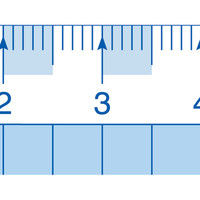 レイメイ藤井 見やすい方眼定規 30cm AJH308 1セット(5個)（直送品）