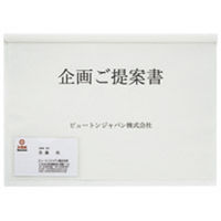 ビュートン　レールホルダーポケット付５枚ＰＳＲーＡ４ＳーＮＷ５　3パック　（直送品）