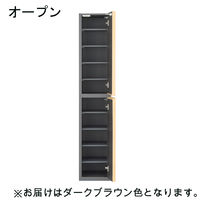 白井産業 ポルターレエントランス ミラー付シューズラック 幅300×奥行364×高さ1800mm ダークブラウン（直送品）