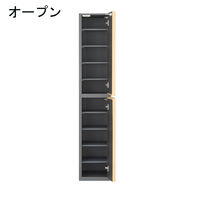 白井産業 ポルターレエントランス ミラー付シューズラック 幅300×奥行364×高さ1800mm ナチュラル（直送品）