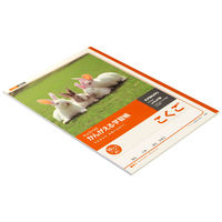 日本ノート キョクトウ かんがえる学習帳 こくご 10マス リーダー入 B5 L8R 6冊