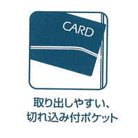 レイメイ藤井 カードホルダー 差込タイプ 縦 6ポケット CH201 1セット(5冊)