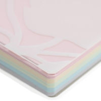 エトランジェ・ディ・コスタリカ　ダブルリングメモ　Ａ6　5色　MCR-28-51　5冊　（直送品）