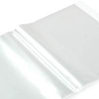 エトランジェ・ディ・コスタリカ　クリアファイルＡ4　ホワイト　20枚　SLD-71-01　2冊　（直送品）