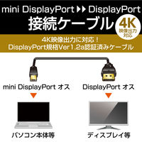 mini DisplayPort ケーブル 2m ver1.2 4K/60p CAC-DPM1220BK エレコム 1個