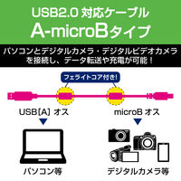 エレコム デジカメ用USBケーブル microB フェライトコア 0.5m DGW-AMBF05BK 1個