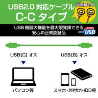 タイプCケーブル (USB-C to C) PD対応 100W USB2.0 50cm U2C-CC5P05NBK エレコム 1本