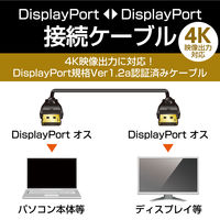 DisplayPort ケーブル 2m ver1.2 4K/60p CAC-DP1220BK エレコム 1個（直送品）