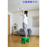 【踏み台】 SANKA decora’step（デコラステップ） デコラステップトールS グリーン DS-TSG 1脚