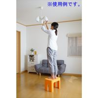 【踏み台】 SANKA デコラステップトールS オレンジ DS-TSOR 1脚