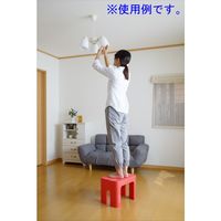 【踏み台】 SANKA decora’step（デコラステップ） デコラステップトールS レッド DS-TSRE 1脚