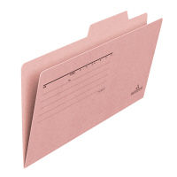 プラス 個別フォルダー PK FL-021IF  1セット（10枚）（直送品）