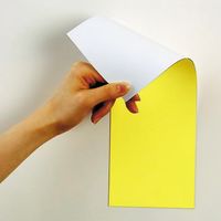 マグエックス マグネット両面カラーシート 黄/白 MSR-10YW 1枚