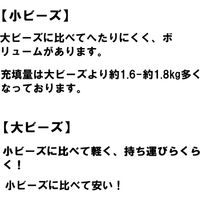 2個 特大 ビーズクッション キューブ型 XL ミント ソファ 約65×65×45cm 洗えるカバー 大きい 国産 クッション 小ビーズ（直送品）