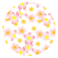 セイコー ラミケース OPP 6F 桜総柄 00295526 1個(500枚)