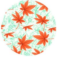 セイコー ラミケース OPP 6F 紅葉雲龍柄 500枚 00295532 1本(500枚入)（直送品）