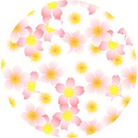 セイコー ラミケース OPP 7A 桜総柄 500枚 00295646 1本(500枚入)（直送品）